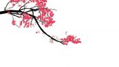 Watercolor Sakura Frame 2