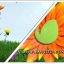 Preview Flower Logo Text Opener 6618406