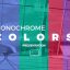 Preview Monochrome Colors Presentation 27673066