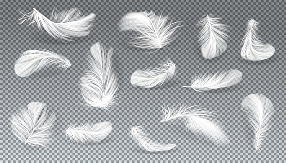 Freepik 3d Realistic Set Of White Bird Or Angel Feathers وکتور