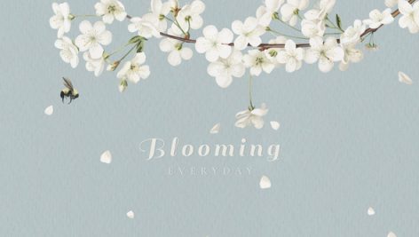 Freepik Blooming White Flowers