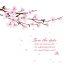Freepik Cherry Blossom Sakura Branch With Pink Flowers Greeting Card Template