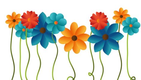 Freepik Flower Color Design