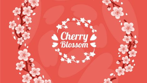 Freepik Hand Drawn Cherry Blossom Background