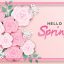 Freepik Hello Spring Background 2