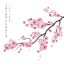 Freepik Realistic Sakura Branch