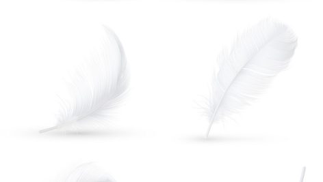 Freepik White Feathers Realistic Set