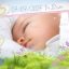 Preview Fairy Tale Baby Album Baby Book 19206860