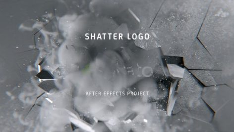 Preview Shatter Logo 27656556