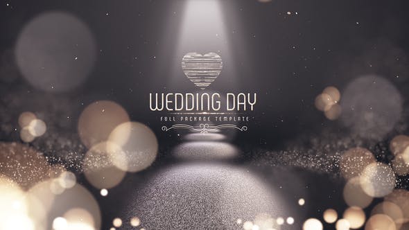 Videohive Wedding Day 22214341