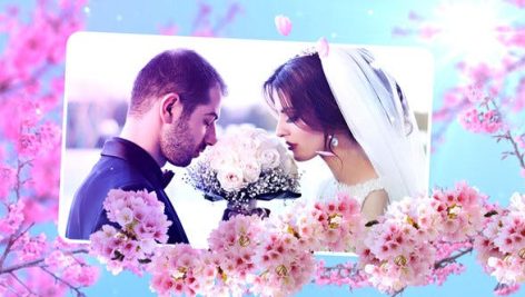 Preview Wedding Flowers Slideshow 24038015