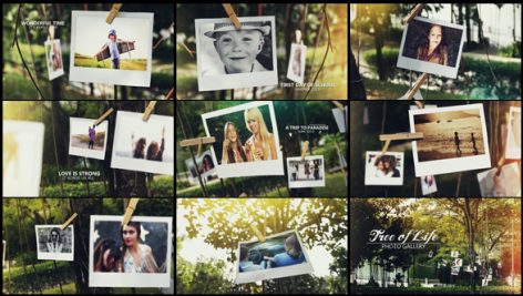 Videohive Tree Of Life Photo Gallery 15795143