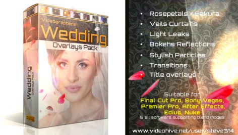 Videohive Wedding Overlays Pack 21501053