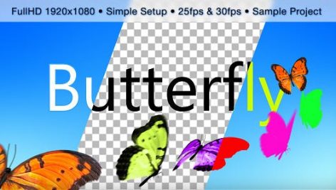 Videohive Butterfly 9199436