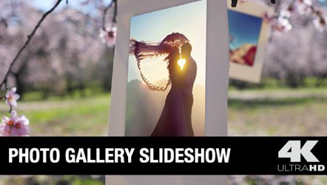 Videohive Photo Gallery 15617604