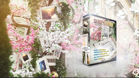 Videohive Photo Gallery Flowers And Sunny 16245646