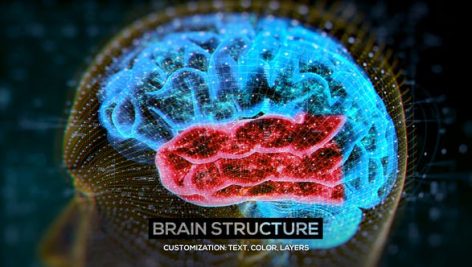 Videohive Brain Structure 4 Pack 24089741