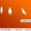 Videohive Candle Flame 5 Variation 15232865
