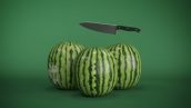Videohive Watermelon Logo Reveal 22881389