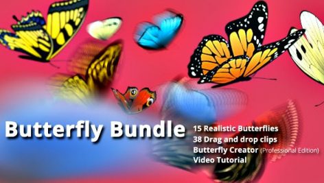 Videohive Butterfly Bundle 20777523