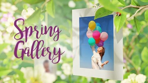 Videohive The Spring Gallery With The Butterflies 15970041