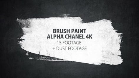 Videohive 16 Paint Brush Stroke Transitions Reveal Pack Matte 16143561