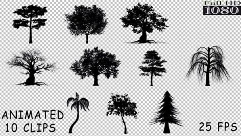 Videohive Silhouette Trees Pack 19659633